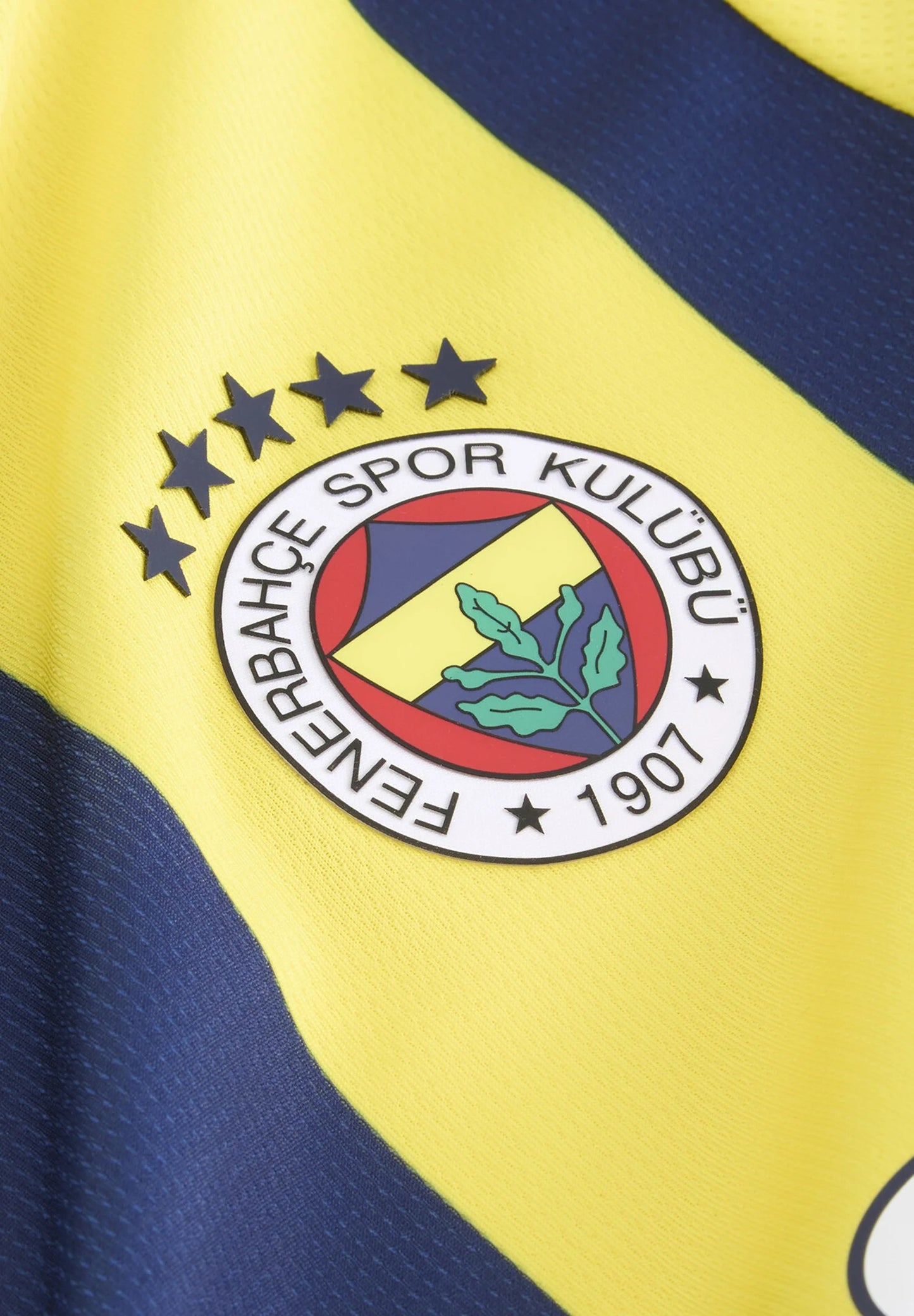 Maillot Fenerbahçe Domicile 24/25
