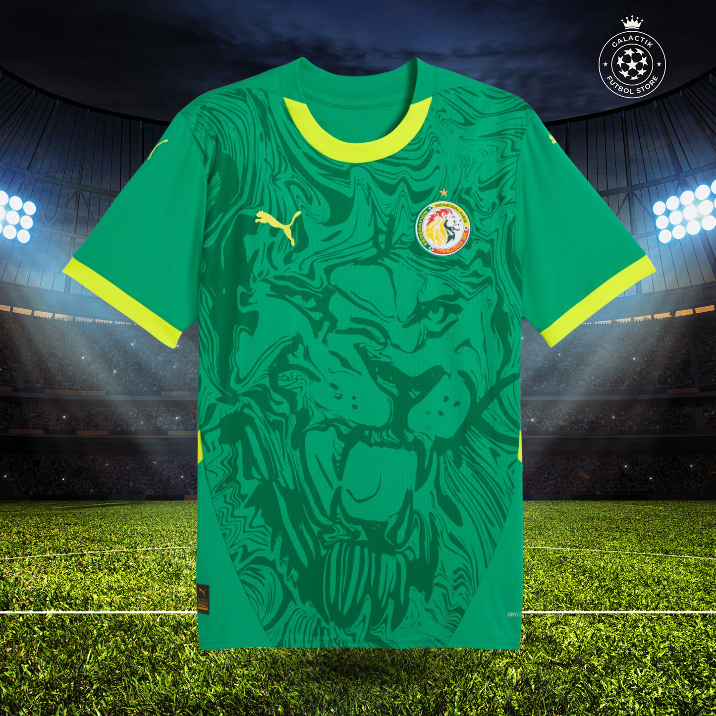 Maillot Sénégal Extérieur 24/25
